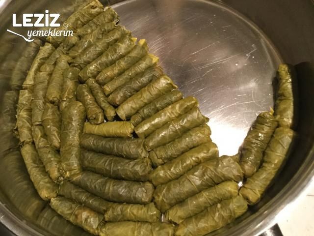 Kırmızı Mercimek Sarması