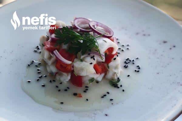 Ceviche Deniz Gecidi.jpg