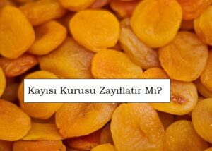 1689330311 Kuru Kayisi Zayiflatir Mi.jpg